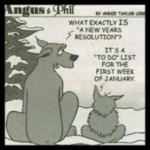 funny-new-years-resolutions-what-is-a-new-years-resolution